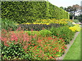 NT2475 : Royal Botanic Garden Edinburgh Herbaceous Border by M J Richardson