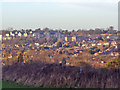 The view from Badgers Croft, Totteridge