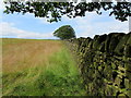 Footpath between New Laund Farm and Elephant Babar