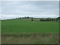 Farmland near Little Forgie