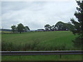 Farmland towards Burnside