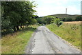 Road to Wallacetown near Newlands