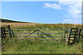 Moorland near Kirk Hill