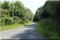 Road to Wallacetown at Ladywell Wood