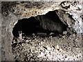 Tar pool in the Tar Tunnel, Coalport