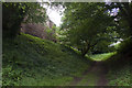 Dry Moat, Wilton Castle