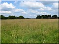 Barn Field