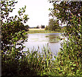 TG1521 : View from the eastern edge of Haveringland Lake by Evelyn Simak