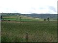 Farmland near Huntly