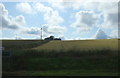 Crop field, Milton of Inveramsay