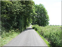 S2854 : Minor road leading to Commons by David Purchase