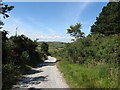 The Trassey Trail descending towards Trassey Road