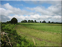 T0284 : Farmland near Kilcarney by David Purchase