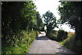 North Devon : Country Lane