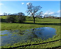 SP6791 : Waterlogged grassland near Saddington Brook by Mat Fascione