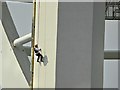 SZ6299 : Abseiling Down The Spinnaker Tower by David Dixon