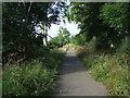 Cycle path behind Knocknagael