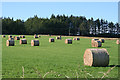 Hay Bales