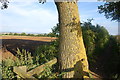 Cotswold Way and view towards Chipping Campden