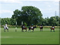 TL5164 : Polo match at Cambridge County Polo Club by Sandra Humphrey