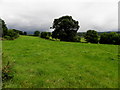 Aghnamoyle Townland