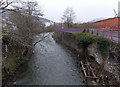 Upstream along the Afon Cynon, Mountain Ash