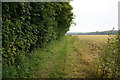 Footpath alongside Huddleston Old Wood