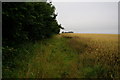 Footpath to Hartley Wood Cottages