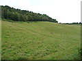 Farmland below [east of] Fox Covert