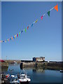 NT9167 : Coastal Berwickshire : Bunting At St Abbs Harbour by Richard West