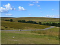 The road across Llanhilleth Moor