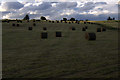 Silage bales, Achinchanter, Dornoch