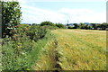 Farmland at Greenan