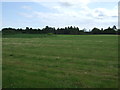 NH7679 : Farmland, Glen Aldie by JThomas