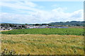 Farmland at Greenan