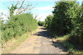 Cycle Route 7 at Greenan