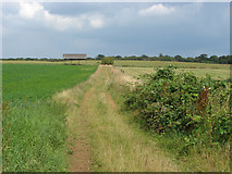 SU9346 : Farmland near Shackleford by Alan Hunt