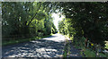 Dunure Road near High Greenan