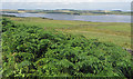 View to Derwent Reservoir