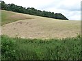 Farmland on the south side of Castle Hill