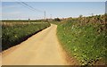 Lane to Bere Alston