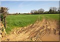 Field near Birch Hill Farm