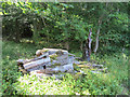 Rotting Wood Pile for Wildlife at Dancersend Reserve