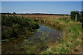 Bishop Dyke at Sherburn Common