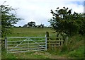 Gateway in hedge