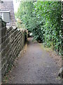 Footpath - Princess Road