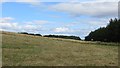 Grass field, Newton