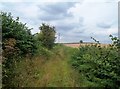 Forge Lane near Moorgate Hollow