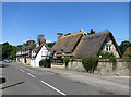 Thatching in Main Road