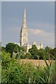 SU1329 : Salisbury Cathedral viewed from the west by Philip Halling